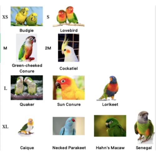 Bird Flight Harness Vest, Parrot Flight Suit with Leash for Parakeets Cockatiels Conures Budgies, Bird Flying Clothes with Rope and Handle for Outdoor Activities Training, Anti Bite (Medium)