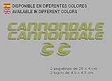 Farbe: Gold Ecoshirt 7Z-3RHJ-MSX1 Aufkleber Cannondale F118 Vinyl Adesivi Decal Aufkleber-Set ・・llavero MTB Stickers Bike, Gold