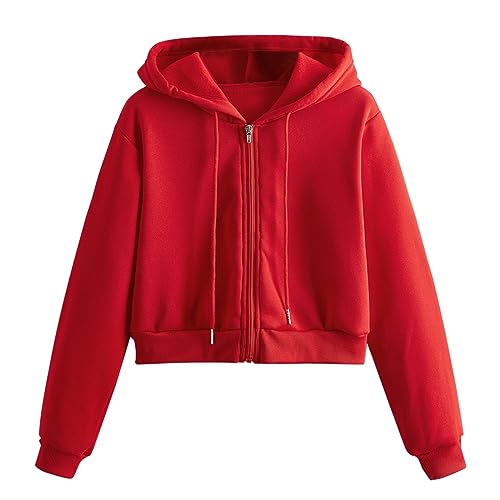 Sweat femme capuche fermeture court de style décontracté