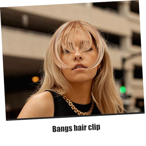 Baluue 6 Peças Franja De Peruca Grampos De Cabelo Grampo De Cabelo De Franja Grampo Na Franja Peruca