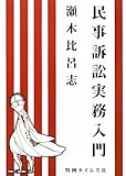 民事訴訟実務入門