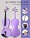 Aileen Violin 4/4 Full Size for Adults Beginners, Purple Fiddle Starter Kit for Students Age 12+, including Music Stand, Unique New Fingerboard Sticker, Mute