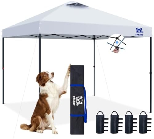 best 10x10 canopy tent in Phoenix, AZ best 10x10 canopy tent in Phoenix, AZ