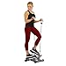 Sunny Health & Fitness Twisting Stair Stepper with Band, Silver