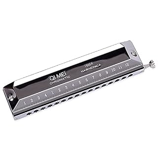 Harmonica Harmonica coloré 16 trous instrument de musique à 64 accents clé C instrument de harpe coloré professionnel - Les Beatles, Paul McCartney, John Lennon, RIngo Starr, George Harrison