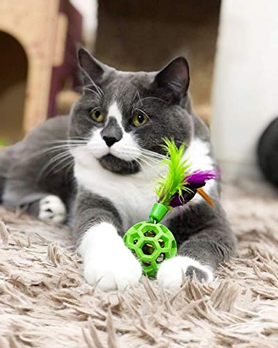 JW Cataction Feather Ball with Bell Cat Toy, Interactive Multi-Textured Cat Toy with Natural Rubber, Feathery Tail & Sturdy Bell for Engaging Play, Stuff Treats, Catnip, Promotes Healthy Exercise