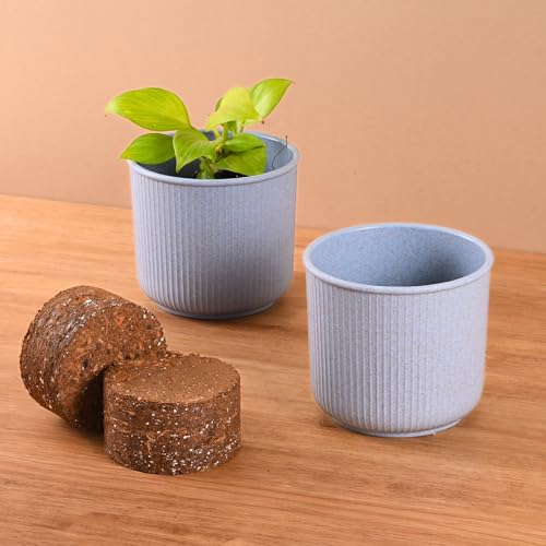 Image of Eha Earth Friendly Statement Pot 4 Inch Pots and Planters with Growmix |Set of 2| Table Top Planters for Gifting | Bamboo Based | Planter for Indoor & Balcony Window Flower Pots |Azure