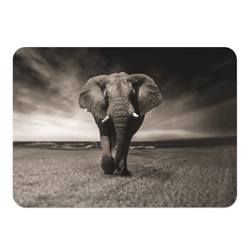 Image of Large Cork Backed Placemat African Elephant 39.5 x 28.5 cm