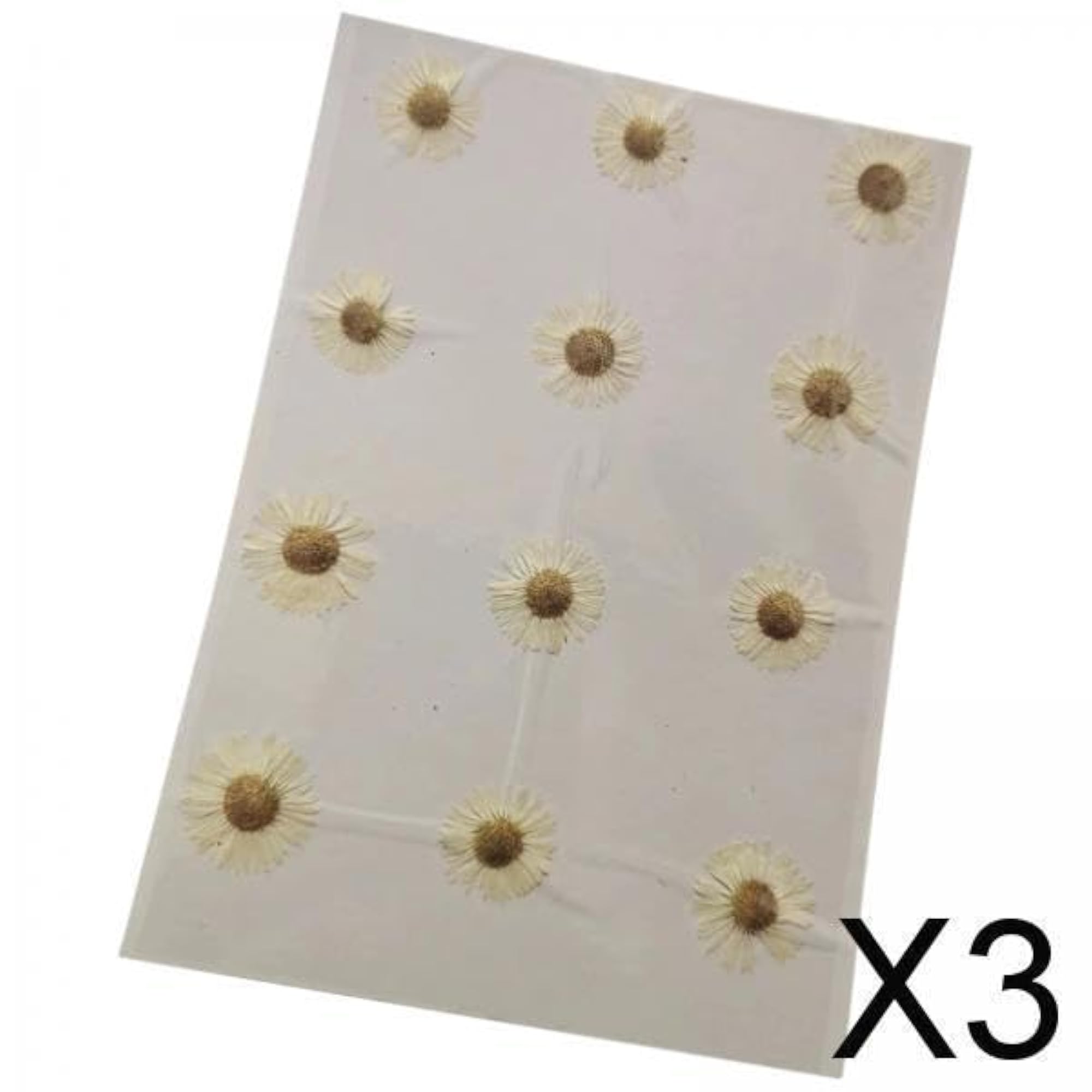 3x12 Dried Pressed Flowers for DIY Art Crafts