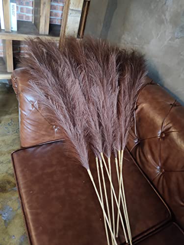Pampas Grass Decor Tall,Large Pampas Floral Fluffy,Long Feather Flowers for Boho Wedding Arangement Bedroom Living Room Decorations (brown - Image 4