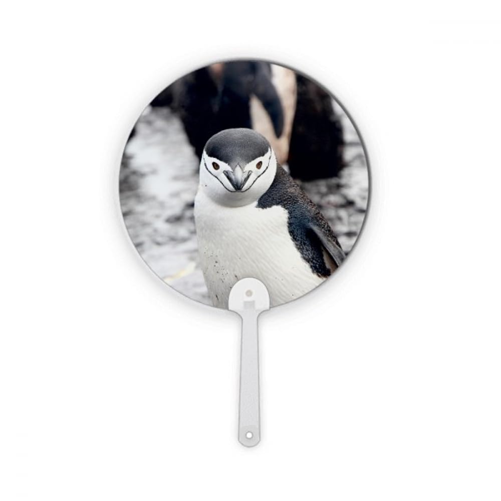 Animal pingouin rond en plastique pour décoration de table
