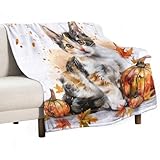 velumair Cute Calico Cat Fall Bed Blanket Warm Plush Lightweight Soft Flannel Pumpkins Maple Leaves Throw Blanket for Living Rooms Sofa Bedroom Decor 50"x60"
