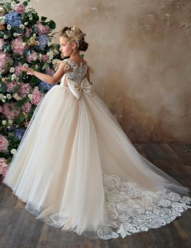 Flower Girl Dresses for Wedding Lace Applique First Communion Dress Tulle Pageant Dress for Girls Ball Gown2