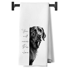 Labrador Retriever 01