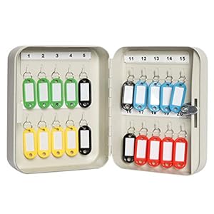 Parrency PA-KB-002 Schlüsselkasten mit 20 Haken