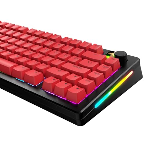 Image of GLORIOUS Gaming - GPBT Basics (PBT Keycaps), Revive Red, No Fade Dye-Sublimated, for Custom Mechanical Keyboards, Fits 100%, 75% 65% 60%, Fits ANSI & ISO, Supports Windows & macOS - English (US)