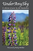 Under Any Sky 1938883195 Book Cover