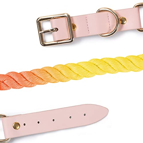 Lucky Monet Comfortable Cotton Dog Collar Adjustable Braided Cotton Multi-Color Rope Leash Collar With Durable Hook Clasp M (Rainbow) #TOP6