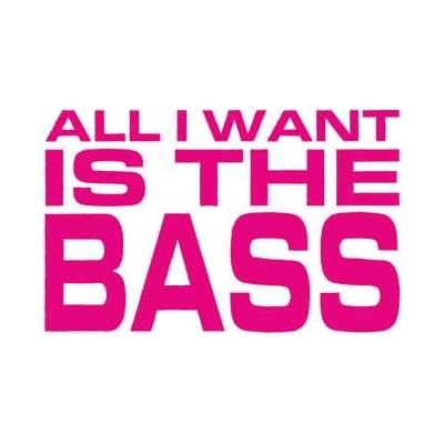 All I Want Is The Bass