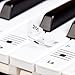 Pegatinas Keysies para notas musicales, transparentes, de plástico y despegables – Más guía útil de colocación.