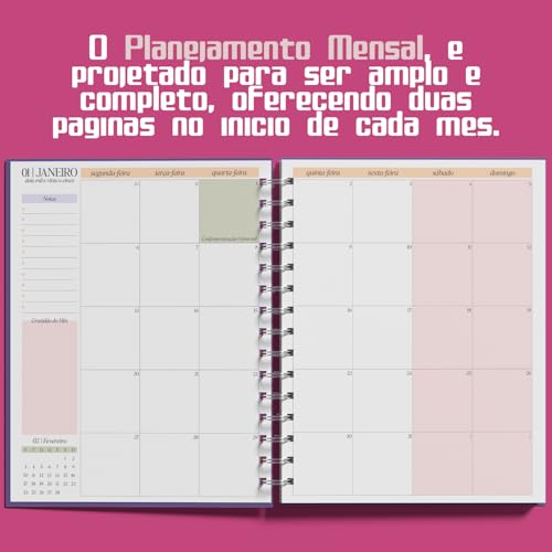 Planner Semanal 2025 Pickup Disc Retro - Planejamento Semanal, Roda da Vida, Finanças, Metas e Inspi