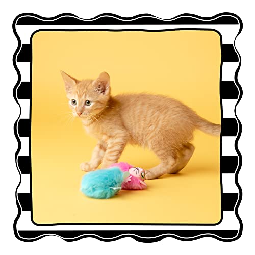 Fat Cat Fluff Bunnies Cat Toys - Catnip Kicker Toy, Blue/ Pink #TOP2
