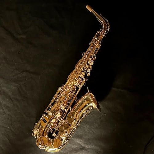 セルマー SELMER サックス」の人気商品一覧 | 安い商品を通販
