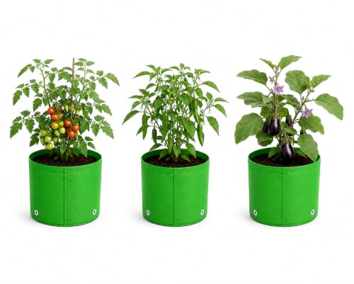 Image of Grow Bags for Terrace Gardening, Premium HDPE Green-Orange Large Planters for Fruit Trees, Vegetables, Flowers & Home Garden Pack of 3(6x6)