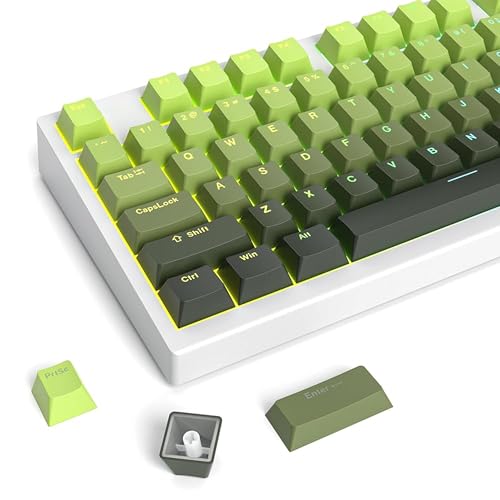 Set de Keycaps PBT Degradado SOLIDEE de alta resistencia y perfil OEM para switches Cherry MX