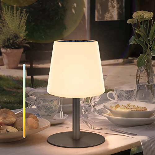 Solar Table Lamp Buying Guide Gardening On