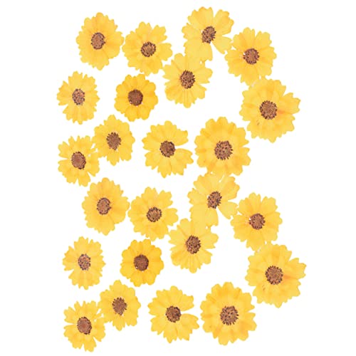 Kit de manualidades con flores secas DIY 24 piezas miniatura 1