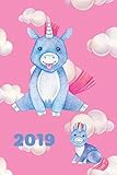  2019: Planner - 12 Months - 1 Day per Page - January 2019 to December 2019 - Agenda, Calendar, Schedule Organizer and Journal Notebook – Cute Unicorn, Funny Pegaso, Clouds