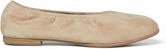 Danna Suede Ballet Flat