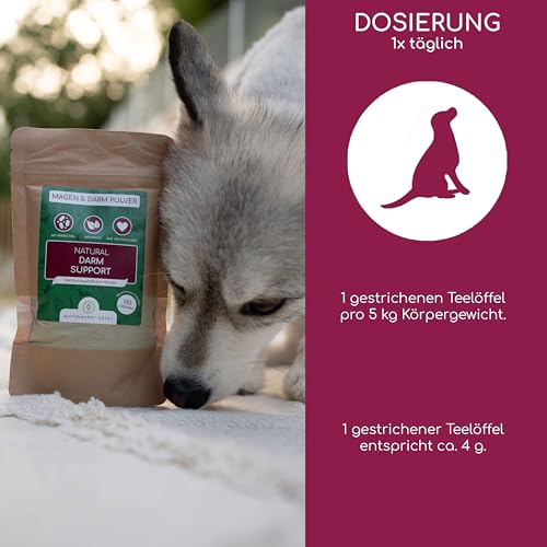 Durchfall Stopp Pulver für Hunde & Katzen – Schnelle Hilfe bei akutem Durchfall – Mit Präbiotika, Totes Meer Salz & Eichenrinde – Bindet Wasser & Giftstoffe im Darm