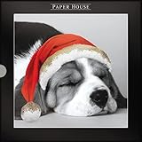 Messaggio interno: Happy Christmas