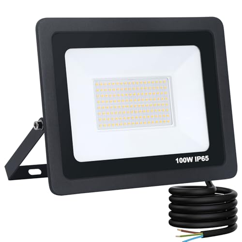 Mille Lucciole Faro LED Esterno 100W 10000LM 144 leds 3000K Bianco Caldo,Faretto LED da Esterno IP65 Impermeabile,Faretti Esterni adatto Giardino Terrazza Garage Patio【Guscio Nero】