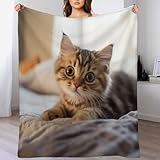 Photo Gallery coperta di flanella cute cat divano in flannel morbida accogliente leggera copertas da letto di lusso 130×150cm Photo Gallery coperta di flanella cute cat divano in flannel morbida accogliente leggera copertas da letto di lusso 130×150cm
