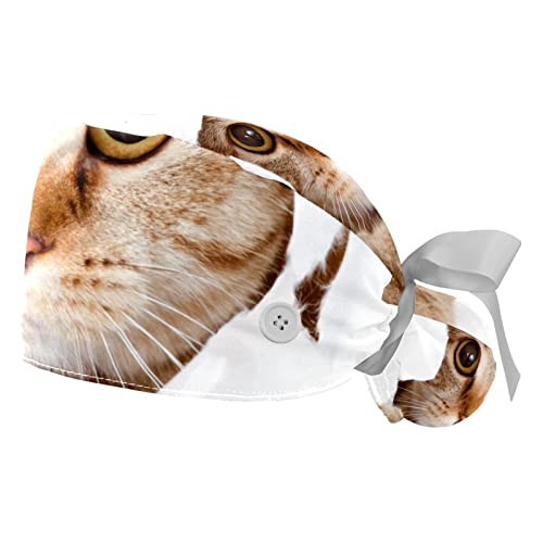 Chapeaux de Travail Chat Britannique JDEZ lot de 2 casquettes de travail respirantes