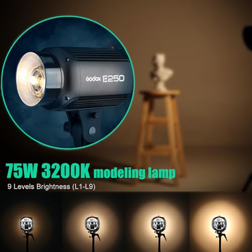 Ficha técnica Godox 750W Estudio Profesional Strobe Flash Kit de Luz para Fotografía 3 Pack 250W Estroboscópico con Disparador Estroboscópico Softbox Soportes de Luz Brazo de la Pluma - Fernando Cortés