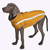 Con tiras reflectantes, para que pueda mantener una protección para su mascota por la noche. Hay un hueco oculto en la espalda que puede conecta la correa, así controlará su perro cuando lo pasa.