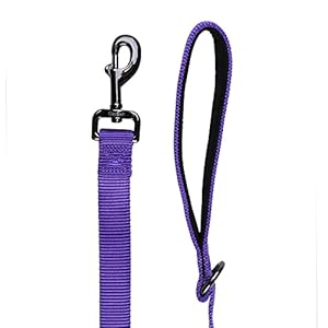 4 feet dog leash with padded handle sturdy nylon dogs leads for small medium large giant dogs walkingtraininghikingjoggingcampingetc ultra violete small4 feet length× 58 inch width   cucciolini doodles