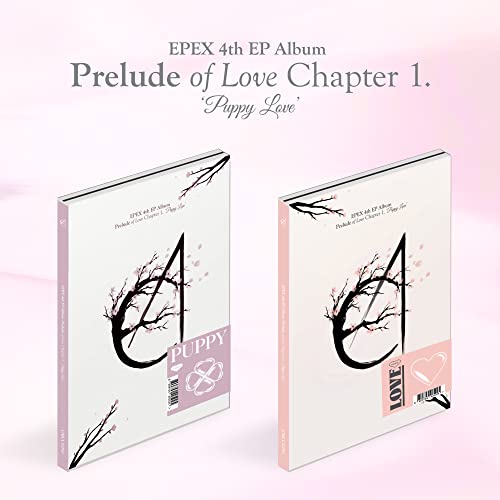 Prelude Of Love Chapter 1. Puppy Love - Random Cover - incl. Photo Book, Lyric Poster, 16 Photo Card Set, 8 Tin Soldier Card Set + Sticker