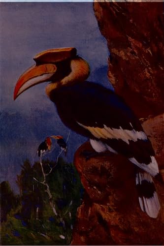 Affiche de Arts Calao de Wilhelm Kuhnert : Idéale pour Décoration du Salon