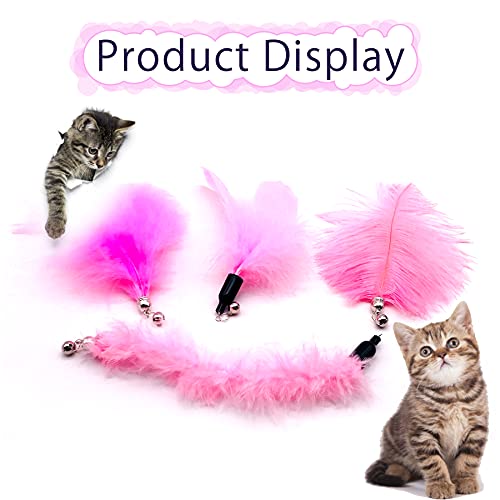 https://m.media-amazon.com/images/I/415ex7af8MS._SL500_.jpg