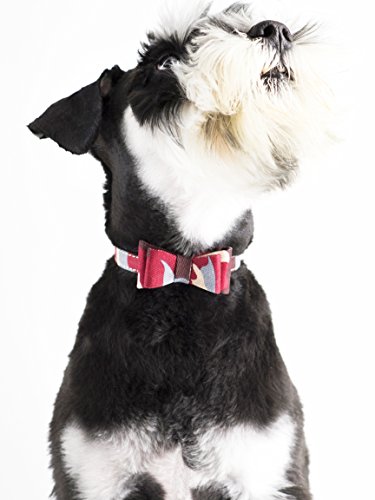 Gyapet Dog Collar Red For Small Dog Cat Bow Tie Puppy Kitten Bandana 2Pcs Pu Adjustable Scarf Cute Camo Camo-Red #TOP5