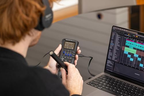 ZOOM R4 MultiTrak mobiler 4-Spur-Recorder und Kompakt-Audiostudio für Musiker & Songwriter, 32-Bit-Float-Audio, 2 XLR/TS-Combo-Eingänge, Effekte, Rhythmussektion