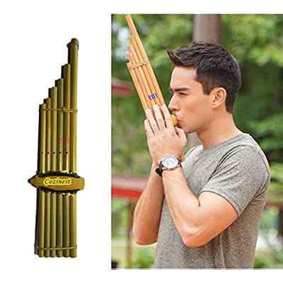 Kayeen Instrument Thai Khaen Instrument Natural Bamboo Isan Mouth Chile | Ubuy