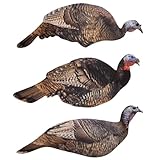 Final Approach Last Strut Turkey Silhouette Decoys, 3 Pack