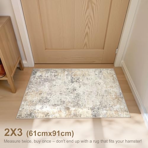 2x3 Entryway Area Rug: Washable Neutral Modern Abstract Small Rug - Non-Slip Low Pile Throw Indoor Carpet for Entrance Kitchen Front Door Mat Bathroom Entry Kids Room - Golden Grey