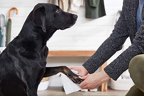 The Spruce Waterless Pet Wash, No Rinse Moisturizing Shampoo For Pets - Daily Pet Care - Cleaning, Cleansing, And Conditioning For Dogs, Puppies, And Cats - Lavender, 17Oz, 2 Pack #TOP6